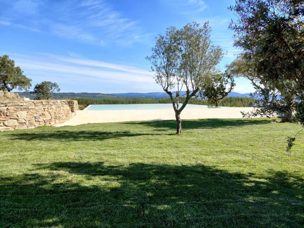 Chao Da Velha - Casas De Campo Nisa Exterior foto
